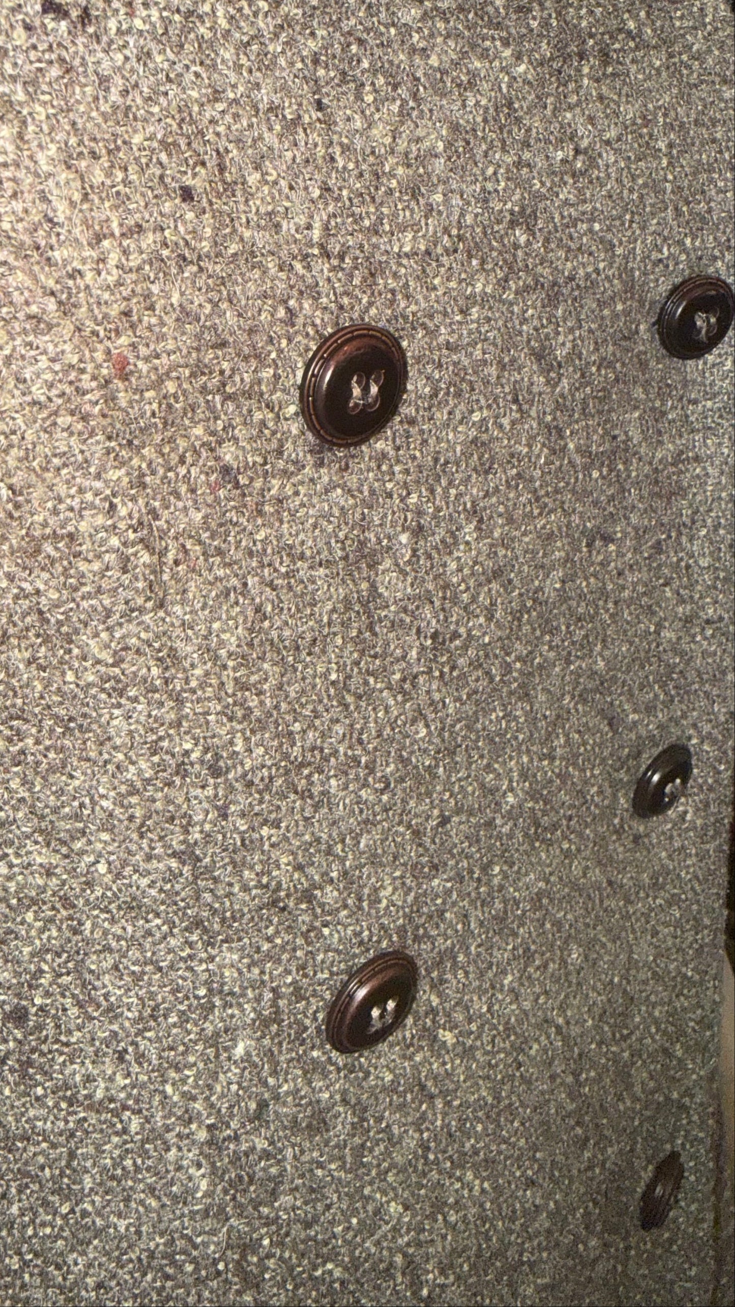 Tweed Dress - Button Down Vintage Ann Taylor